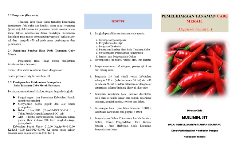 FOLDER PEMELIHARAAN CABE MERAH