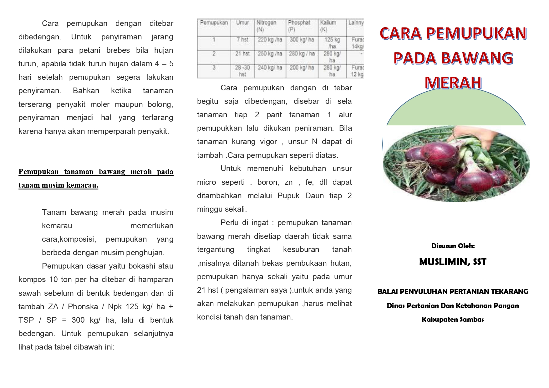 PEMUPUKAN BAWANG