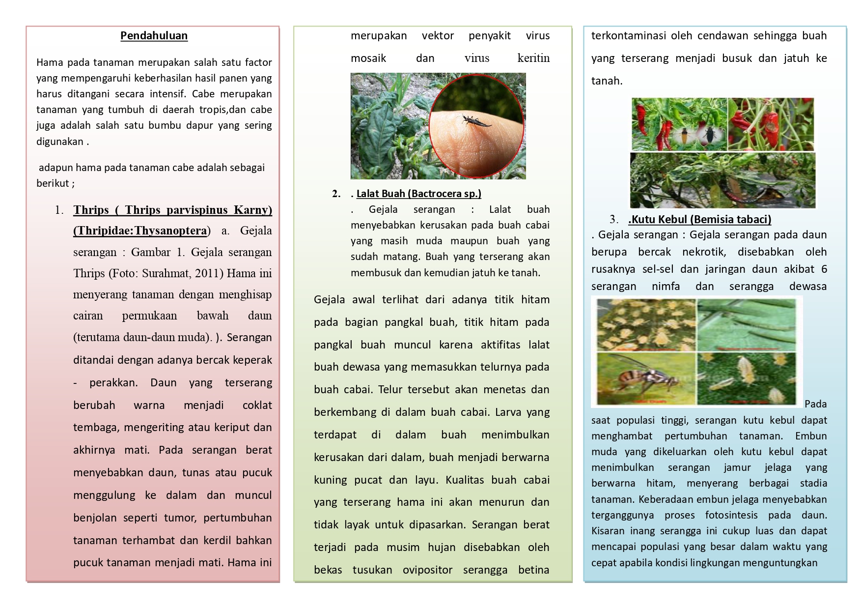 Folder Cabe
