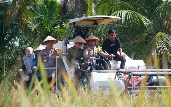 Panen Padi Serentak se-Indonesia, Sukseskan Swasembada Pangan Nasional