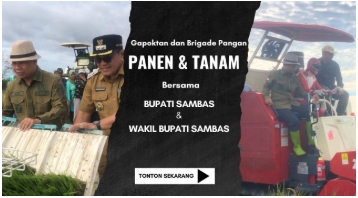 Panen dan Tanam Serentak Gapoktan Fajar Sejahtera: Wujud Nyata Program Ketahanan Pangan Nasional