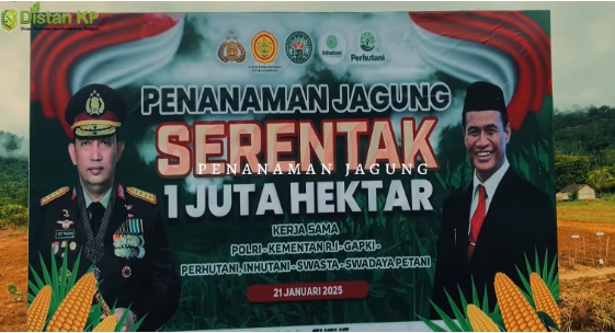 Penanaman Jagung Serentak 1 Juta Hektar untuk Ketahanan Pangan Kapolres Sambas targetkan 211 Hektar di Kabupaten Sambas