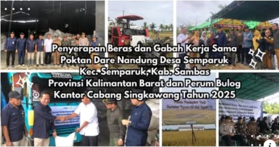 Poktan Dare Nandung & BULOG Singkawang Jalin Kemitraan Ketahanan Pangan